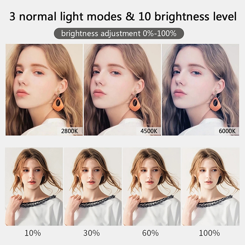 10インチ LED Selfie リングライト 調光可能な  - Webcam Ring Light のレビューと価格